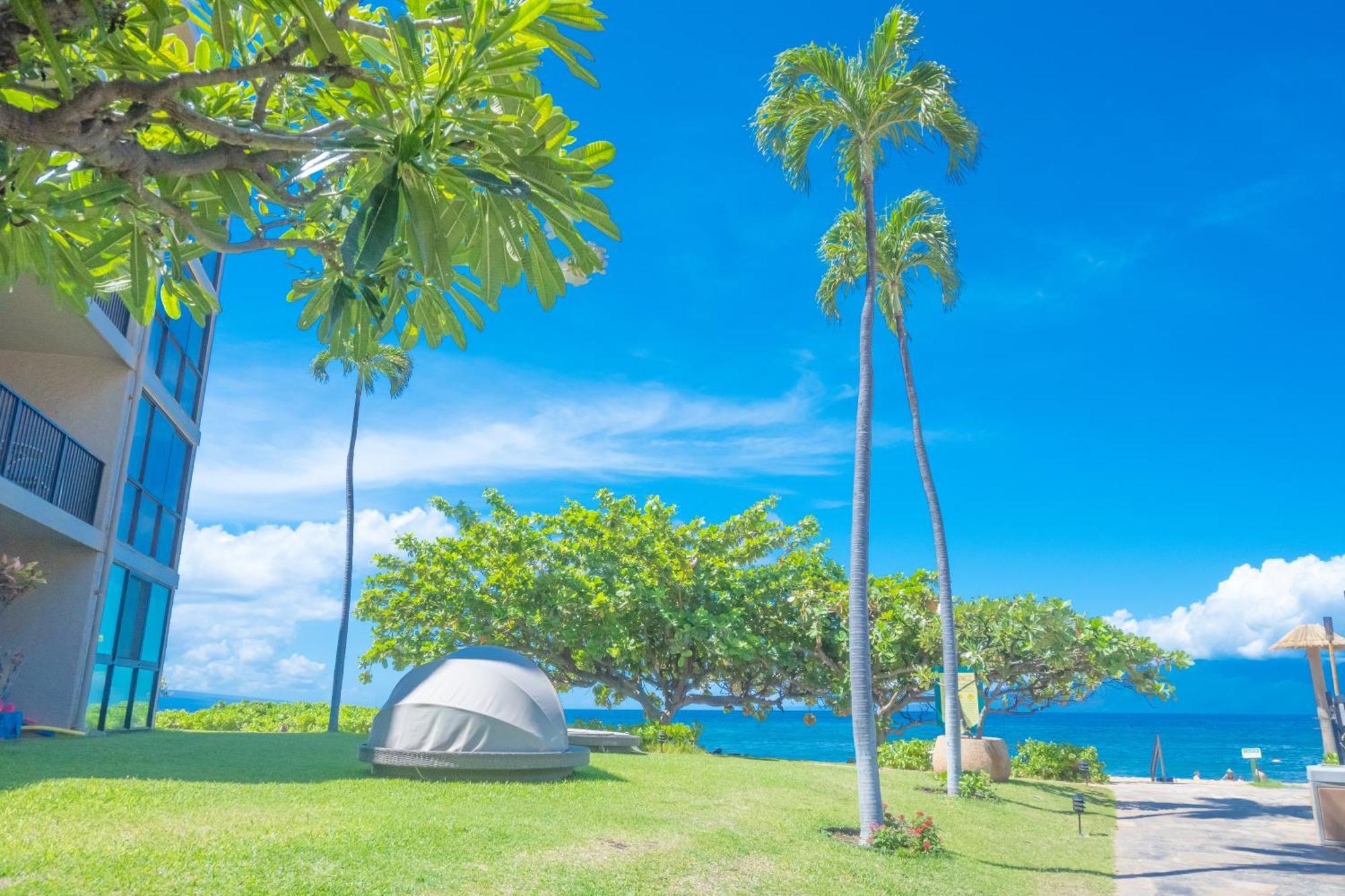 Maui Westside Presents: Kaanapali Shores 733 Stunning Ocean Views New Listing 拉海纳 外观 照片